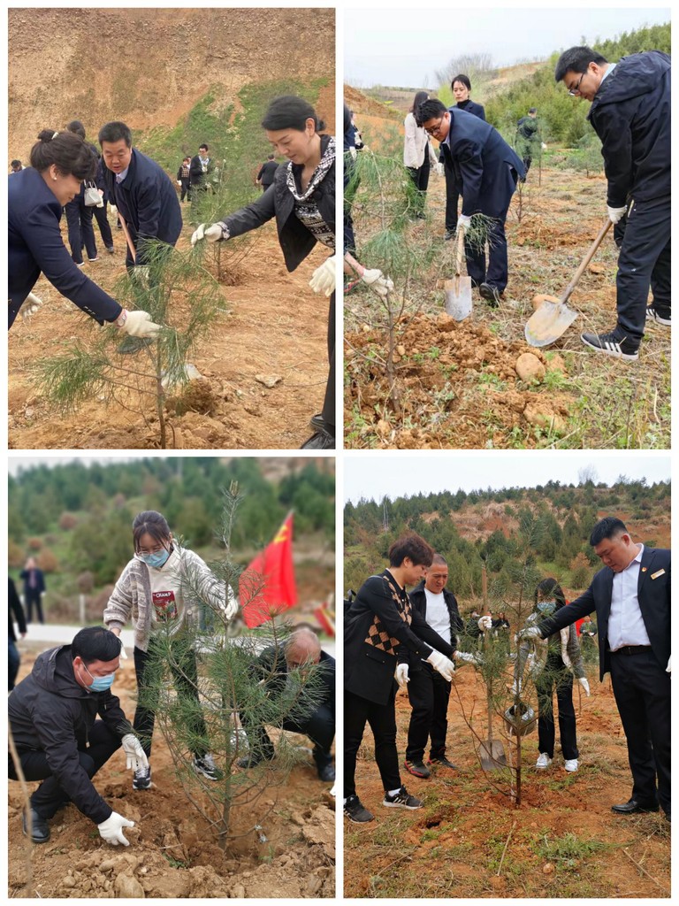 图片1.jpg 图片1