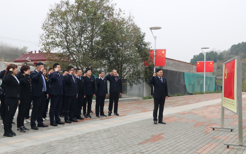 图片5