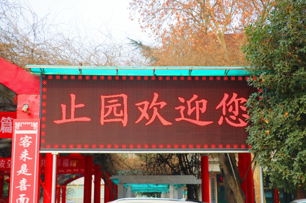 图片13